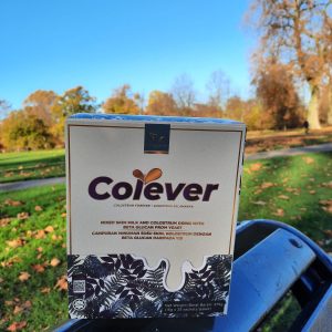 COLEVER Pakej Pengguna