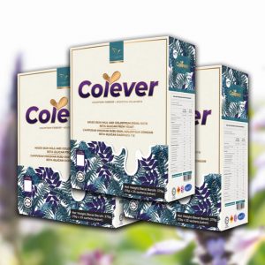 COLEVER Pakej Pengguna 3 Kotak