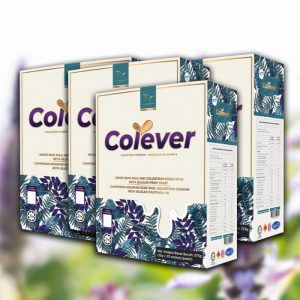 COLEVER Pakej Pengguna 4 Kotak
